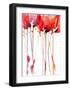 Black Frame