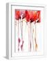 White Frame