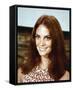 Lesley Ann Warren-null-Framed Stretched Canvas