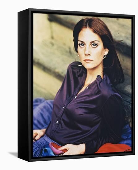 Lesley Ann Warren-null-Framed Stretched Canvas