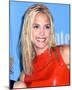 Leslie Bibb-null-Mounted Photo