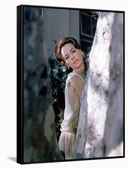 Leslie Caron-null-Framed Stretched Canvas