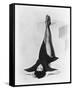 Leslie Caron-null-Framed Stretched Canvas