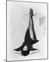 Leslie Caron-null-Mounted Photo