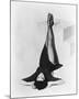 Leslie Caron-null-Mounted Photo