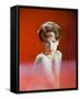 Leslie Caron-null-Framed Stretched Canvas