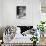 Leslie Caron-null-Photographic Print displayed on a wall