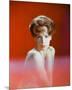 Wood Mount