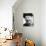 Leslie Phillips-null-Photo displayed on a wall