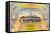 Leslie's Chicken Shack, Waco, Texas-null-Framed Stretched Canvas
