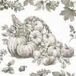 Bountiful Harvest III Sketch-Leslie Trimbach-Art Print