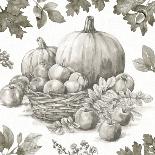 Bountiful Harvest IV Sketch-Leslie Trimbach-Art Print