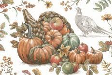 Bountiful Harvest III Sketch-Leslie Trimbach-Art Print
