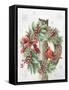 Framed Canvas