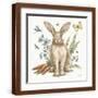 Brown Frame