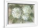 Gramercy White