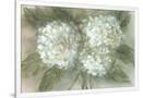 Gramercy White