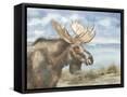 Framed Canvas