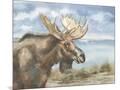 Wood Mount