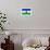 Lesotho Flag Design with Wood Patterning - Flags of the World Series-Philippe Hugonnard-Framed Premium Giclee Print displayed on a wall