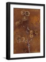 Lesser Burdock-Den Reader-Framed Photographic Print