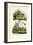 Lesser Duckweed, 1833-39-null-Framed Giclee Print