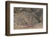 Lesser Electric Ray (Narcine Brasiliensis), Dominica, West Indies, Caribbean, Central America-Lisa Collins-Framed Photographic Print