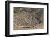 Lesser Electric Ray (Narcine Brasiliensis), Dominica, West Indies, Caribbean, Central America-Lisa Collins-Framed Photographic Print