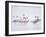 Lesser Flamingoes in Fog-Arthur Morris-Framed Premium Photographic Print