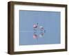 Lesser Flamingoes (Phoenicopterus Minor), Lake Nakuru, Kenya-Keren Su-Framed Photographic Print