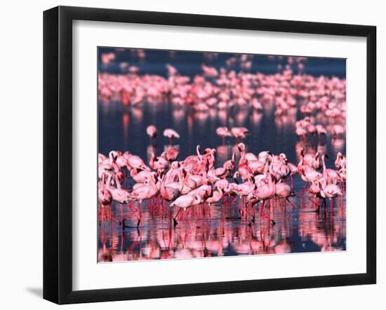 Lesser Flamingos, Lake Nakuru, Kenya-Charles Sleicher-Framed Premium Photographic Print