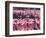 Lesser Flamingos, Lake Nakuru, Kenya-Charles Sleicher-Framed Photographic Print