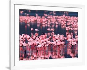 Lesser Flamingos, Lake Nakuru, Kenya-Charles Sleicher-Framed Photographic Print