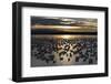 Lesser Snow Geese (Chen Caerulescens Caerulescens) at Sunrise-Richard Maschmeyer-Framed Photographic Print