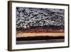 Lesser Snow Geese (Chen Caerulescens Caerulescens) in Flight at Sunrise-Richard Maschmeyer-Framed Photographic Print