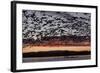 Lesser Snow Geese (Chen Caerulescens Caerulescens) in Flight at Sunrise-Richard Maschmeyer-Framed Photographic Print