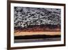 Lesser Snow Geese (Chen Caerulescens Caerulescens) in Flight at Sunrise-Richard Maschmeyer-Framed Photographic Print