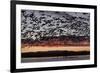 Lesser Snow Geese (Chen Caerulescens Caerulescens) in Flight at Sunrise-Richard Maschmeyer-Framed Photographic Print