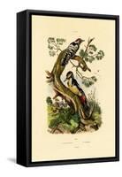 Lesser Spotted Woodpecker, 1833-39-null-Framed Stretched Canvas