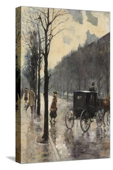 Stretched Canvas Print, , large