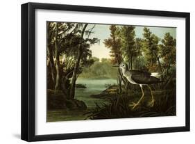 Lesser Yellowlegs-John James Audubon-Framed Giclee Print