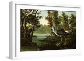 Lesser Yellowlegs-John James Audubon-Framed Giclee Print