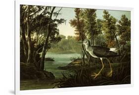 Lesser Yellowlegs-John James Audubon-Framed Giclee Print