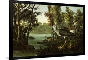 Lesser Yellowlegs-John James Audubon-Framed Giclee Print