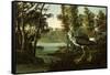 Lesser Yellowlegs-John James Audubon-Framed Stretched Canvas