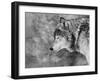 Let it Snow-Victoria Ivanova-Framed Premium Photographic Print