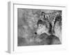 Let it Snow-Victoria Ivanova-Framed Premium Photographic Print