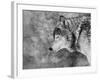 Let it Snow-Victoria Ivanova-Framed Premium Photographic Print