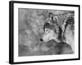 Let it Snow-Victoria Ivanova-Framed Premium Photographic Print