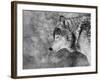 Let it Snow-Victoria Ivanova-Framed Premium Photographic Print